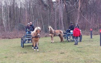 VDB Stables gebruikt AXIWI tijdens clinic paardrijden in Genk